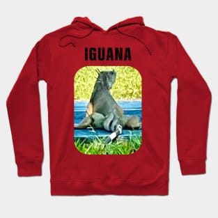 Iguana Lover Hoodie